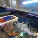 김덕배의조개바다이야기 이미지