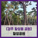 시민운동장 | 공원 - #직접체험 경주 녹지 공원 산책로 김유신 동상 경주시민운동장 경주시립도서관 산책 솔직 리뷰 후기