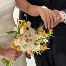 탑클래스유도 | 나태의 결혼일지 6. 울산 에스스튜디오 웨딩촬영 후기