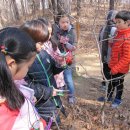 광교산생태학교 이미지