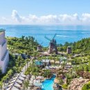 롯데호텔 실내수영장 이미지