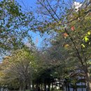 일곡 근린공원 옆 이미지