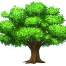 도솔한의원 이미지