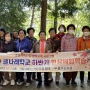 초등학력인정 문해교육 프로그램 글나래학교 이미지