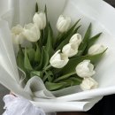 고유부 | 작은 소원이 허락되는 계절