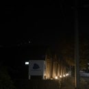 놀당스테이 | 제주 협재 감성 숙소 놀당스테이 5번 아이보리동 내돈내산 후기(1인 숙소 추천)