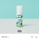 올크린뱅크 | 유럽 신혼여행 준비물 체크리스트 (내돈내산 제품추천)