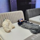 주식회사 남앤테크 | 코엑스 서울리빙디자인페어 2026에서 코웨이 비렉스 부스 안가면 손해