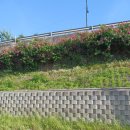 명진해수탕 이미지