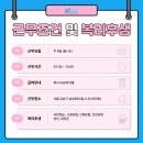애드민 티스토리