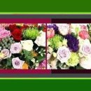 원주민중요양병원 이미지