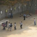 문교초등학교 이미지