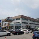 대한인삼