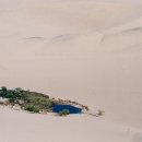 오아시스장 이미지