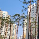 산내들부동산공인중개사사무소 이미지