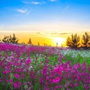 법사 행정사 이미지