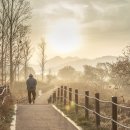 삶으로서의 시 쓰기 이미지