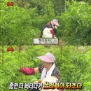 문구대장안양 | 전전긍긍 신생아 특례 버팀목 전세대출 신청 후기 / 해외거주 임대인 / 위임인 계약 / 신한은행