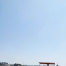 샴푸나라