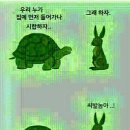 토끼와거북이 이미지