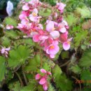 보우농장 이미지