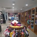 애견용품 할인매장 이미지