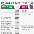 스포츠석유