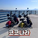 중앙전기스쿠터 | 초보 운전자의 우도 전기스쿠터 대여 솔직 후기 '코코나라'