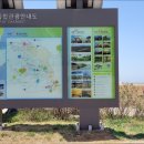 대부해솔길 6-2코스(순환코스) 이미지