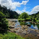 12월 20일 Karangahake Gorge 및 Blueberry Farm 이미지