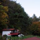 자작나무길펜션 이미지