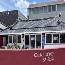 제이오케이컴퍼니강남푸릇해 | 녹음이 우거지는 계절