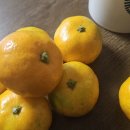 성배농장 이미지