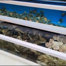 엠티브이6로18번길 이미지