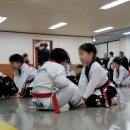 대한태권도 | 시흥태권도 공개수업 후기 (f. 대한 태권도 전문교육관)