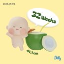 미스차미용실 | [임신#13] 31~35w차 기록 / 하이네 new하우스 👶🏻🏠❤️