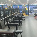 알통클럽 이미지