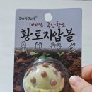 독독 | 손에 쏙 들어오는 황토 지압볼로 피로까지 싹—독독 국내산 황토 지압볼 사용 후기