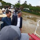 일로로이 이미지