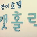 홀릭캣 이미지