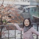 보물세상 이미지