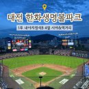 대전 한화생명볼파크 1루 내야지정석B 415구역 4열 시야 직관 후기 먹거리