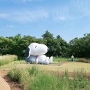 인터포레스트인 티스토리