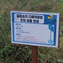 갈대습지공앞앞 | 대구 아이와 가볼만한 곳 [대명유수지]달성습지 갈대 반려견 산책