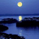 달이 떠올라 이미지