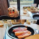 돼지들의이야기 | 제주 애월 애견동반 흑돼지 맛집｜금돈가 내돈내산 솔직후기