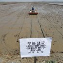 현대 농장 이미지