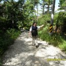 오봉산장 이미지