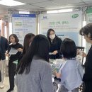 매일