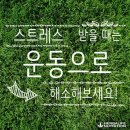 허브앤점핑다이어트